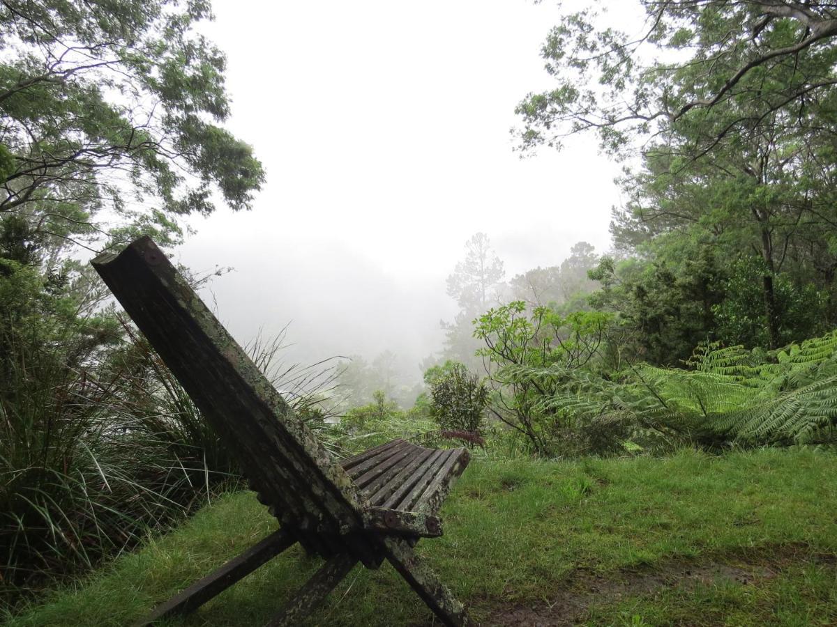 Crown Ridge Miners Cottage Karangahake Dış mekan fotoğraf