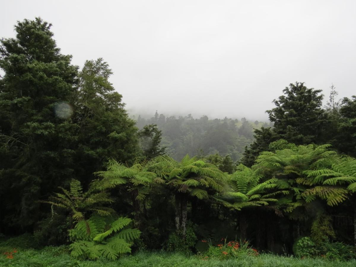 Crown Ridge Miners Cottage Karangahake Dış mekan fotoğraf