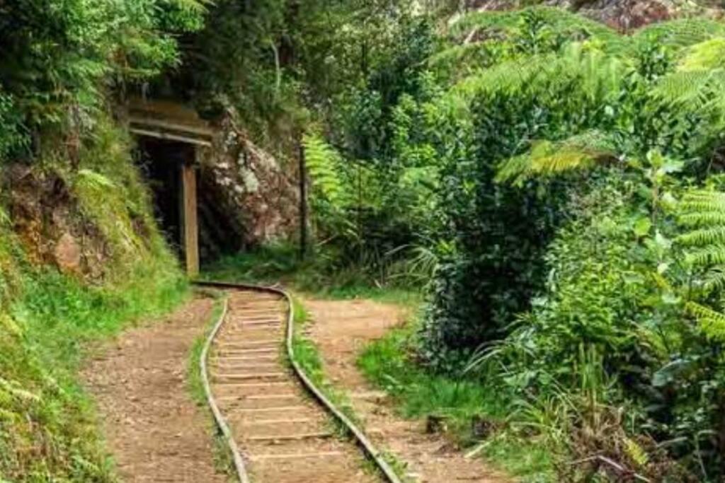 Crown Ridge Miners Cottage Karangahake Dış mekan fotoğraf