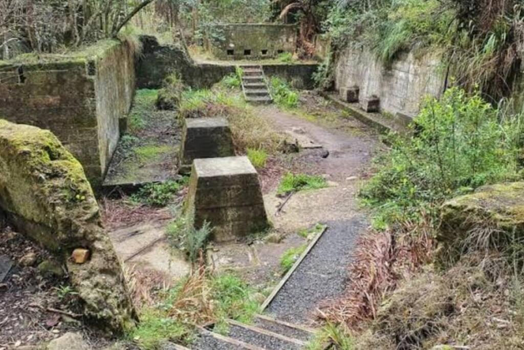 Crown Ridge Miners Cottage Karangahake Dış mekan fotoğraf