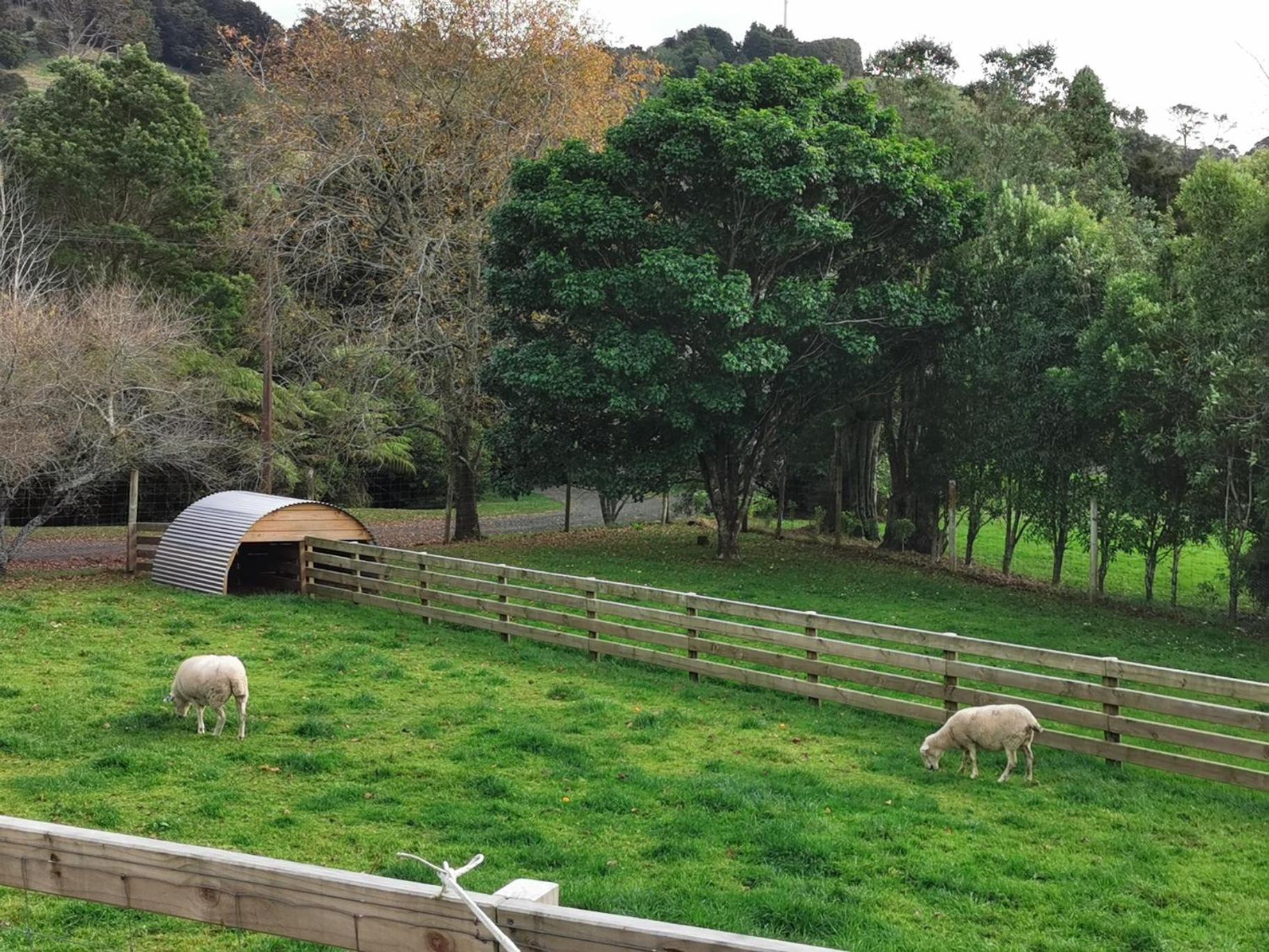 Crown Ridge Miners Cottage Karangahake Dış mekan fotoğraf